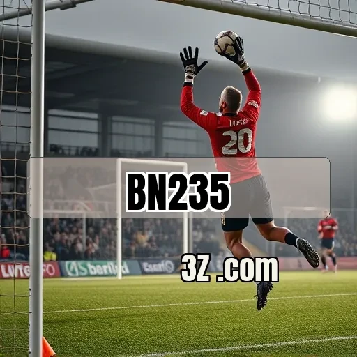 bn235.com Classificação